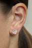 Palermo, Shell Stud Earrings